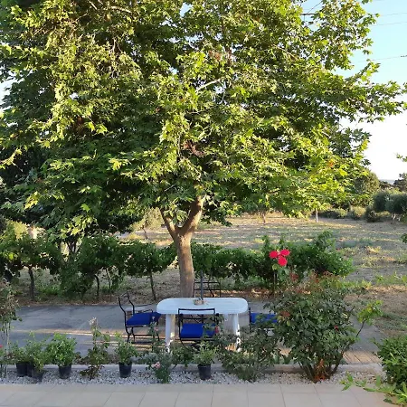 Swan House Panoramic View - Near The Sea