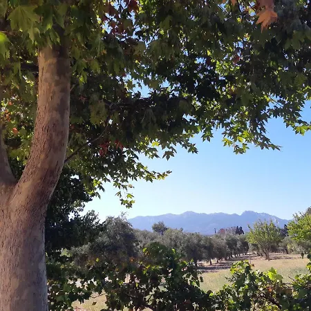 Swan House Panoramic View - Near The Sea Σπίτι διακοπών Zipárion