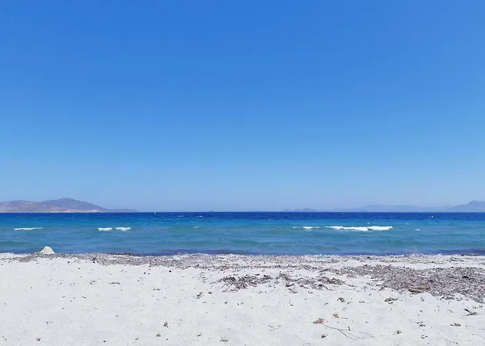 Swan House Panoramic View - Near The Sea 펜션 Zipárion