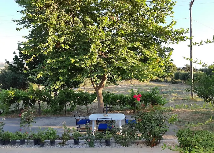 Swan House Panoramic View - Near The Sea