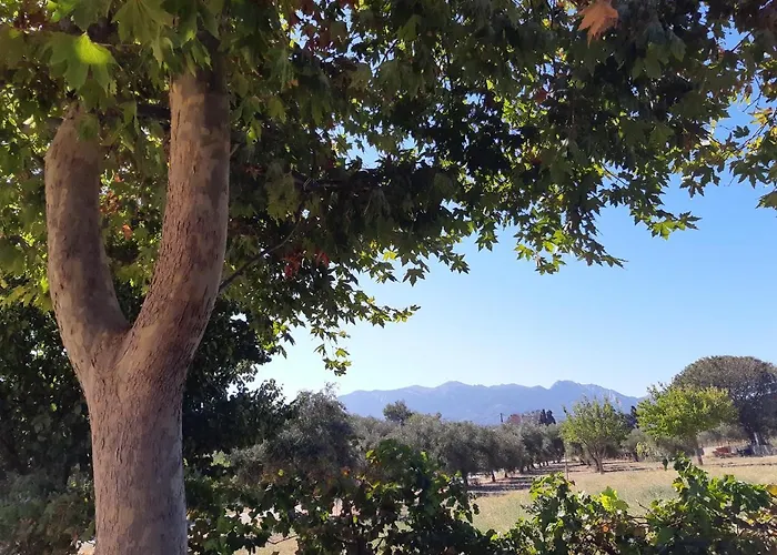 Swan House Panoramic View - Near The Sea بيت للعطل Zipárion